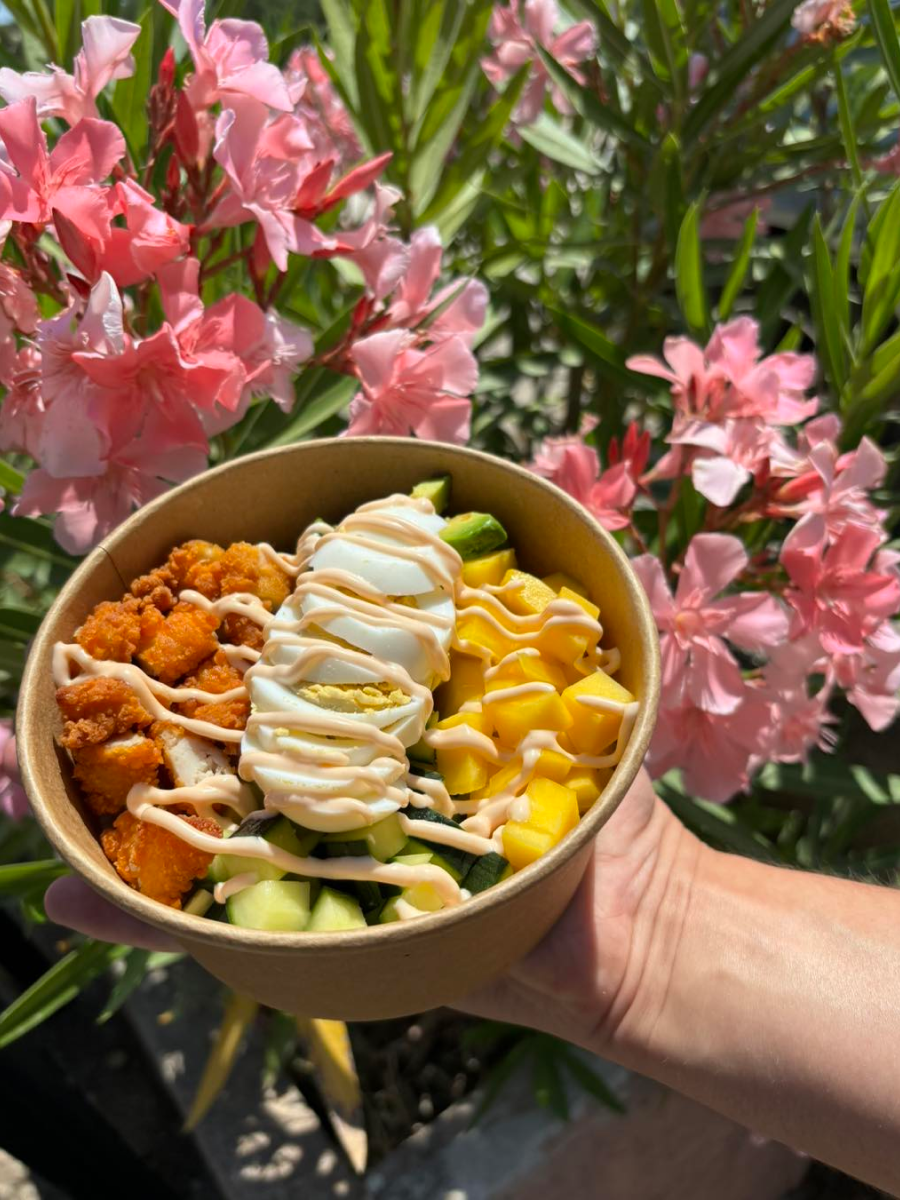 Le Hinata Restaurant Japonais A Volonte Meyreuil Plats